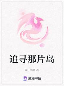 追寻那片岛
