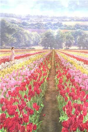 兵符召唤：玉玺霸主横扫万族！长篇小说