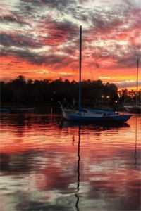 献给暴君解恨后：白月光被娇养了精品小说