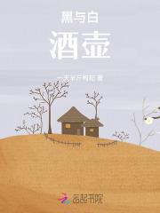 黑与白:酒壶