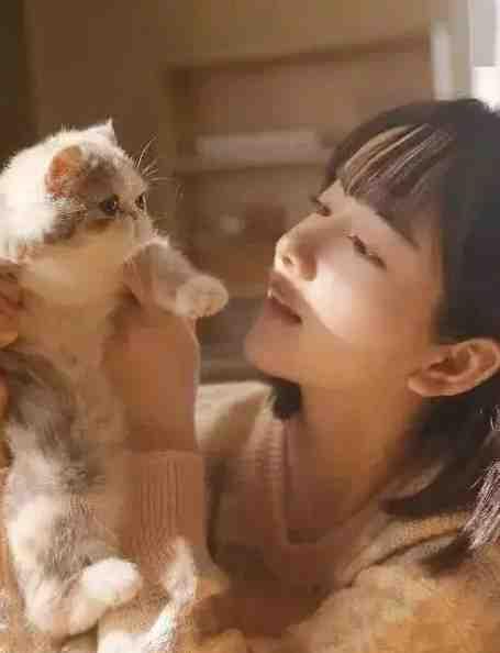 流落荒岛后我教女神求生畅读全文版