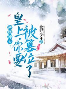 逆凰冲天：皇上，你要被篡位了