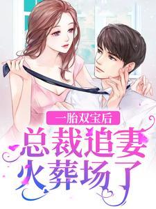 一胎双宝后,总裁追妻火葬场了