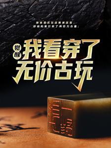 觉醒!我看穿了无价古玩