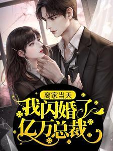 离家当天，我闪婚了亿万总裁