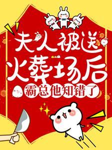 夫人被送火葬场后，霸总他知错了