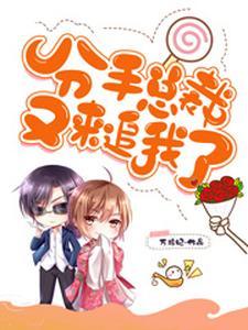 分手总裁又来追我了