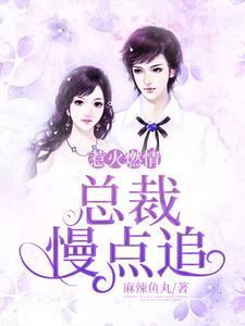 惹火燃情:总裁,慢点追