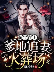 萌宝在上:爹地追妻火葬场