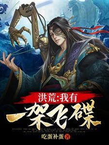 洪荒:我有一架飞碟