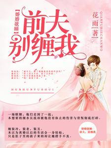 婚婚欲睡:前夫,别缠我