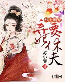 邪王霸宠：弃妃要休夫