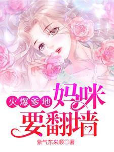 火爆爹地，妈咪要翻墙