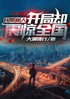 我是新人：开局却震惊全国