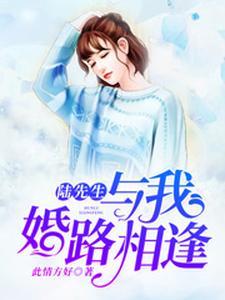 陆先生，与我婚路相逢