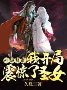 神级复制：我开局震惊了圣女
