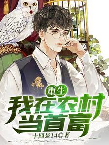 重生：我在农村当首富