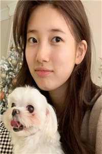 优秀文集高甜来袭:季医生又和白月光撒糖了