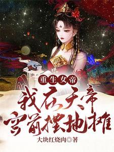 重生女帝:我在天帝宫前摆地摊