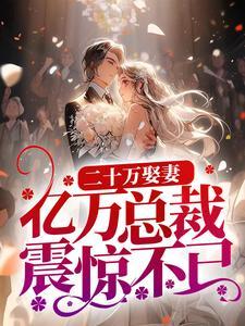 二十万娶妻,亿万总裁震惊不已