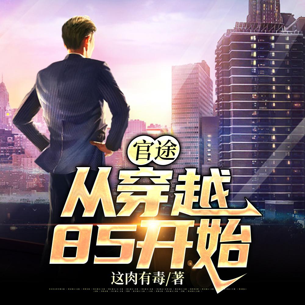 官途:从穿越85开始