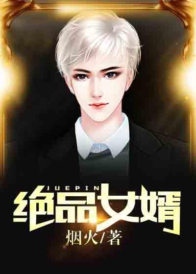 绝品女婿