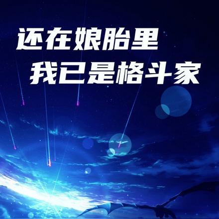 还在娘胎里,我已是格斗家