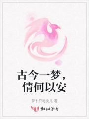 古今一梦,情何以安