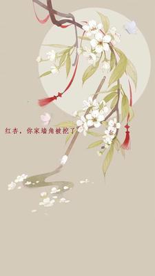 前夫,你被金主设计了
