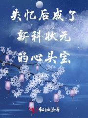 失忆后成了新科状元的心头宝