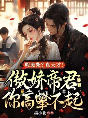 假废材?真天才!傲娇帝君你高攀不起