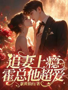 追妻上瘾,霍总他超爱