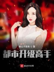 都市升级高手