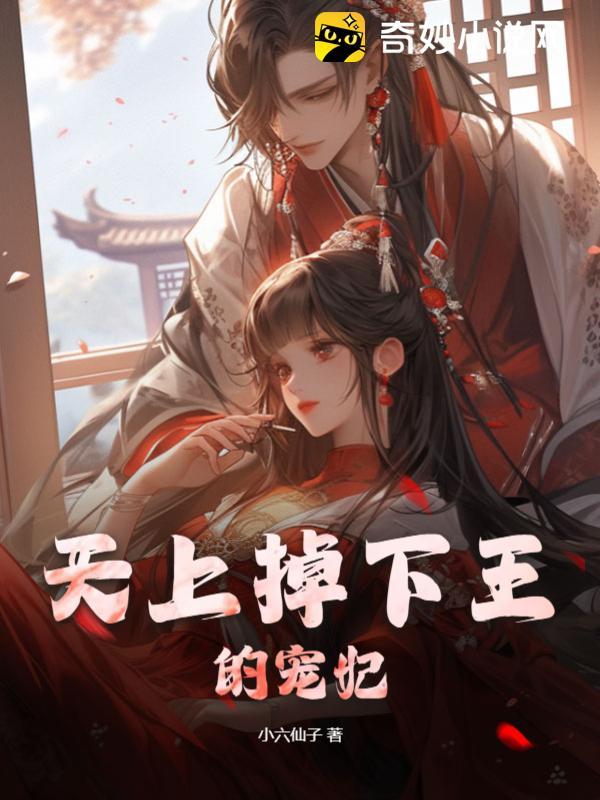 天上掉下王的宠妃