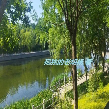 重生红楼之贾珠