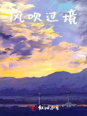 风吹过境