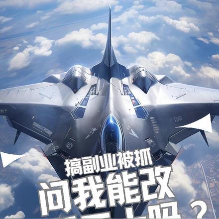 搞副业被抓:问我能改歼二十吗?