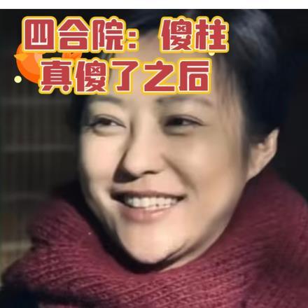四合院:傻柱真傻了之后