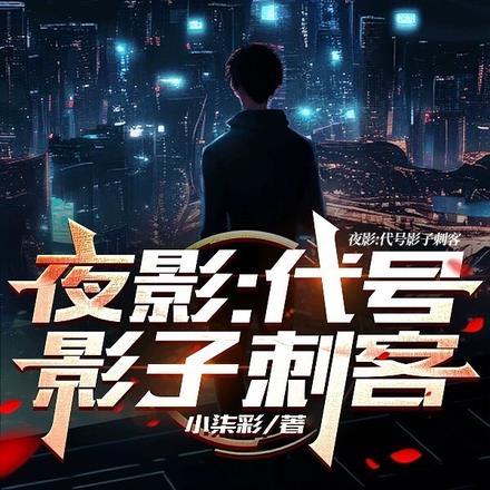 夜影:代号影子刺客