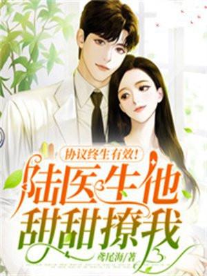协议终生有效!陆医生他甜甜撩我