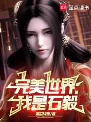 完美世界:我是石毅