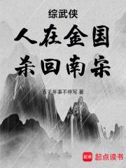 综武侠:人在金国,杀回南宋